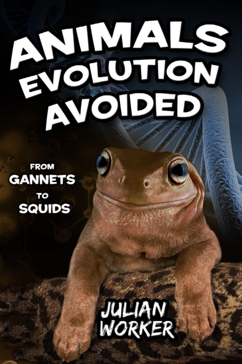 Cover image for book Animals Evolution Avoided