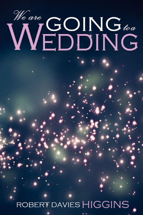 Cover image for book We are Going to a Wedding