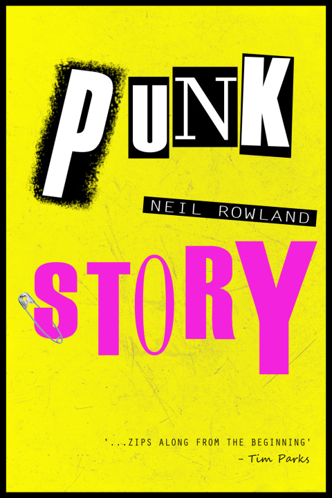 Cover image for book Punk Story