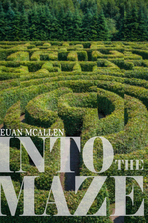 Cover image for book Into The Maze