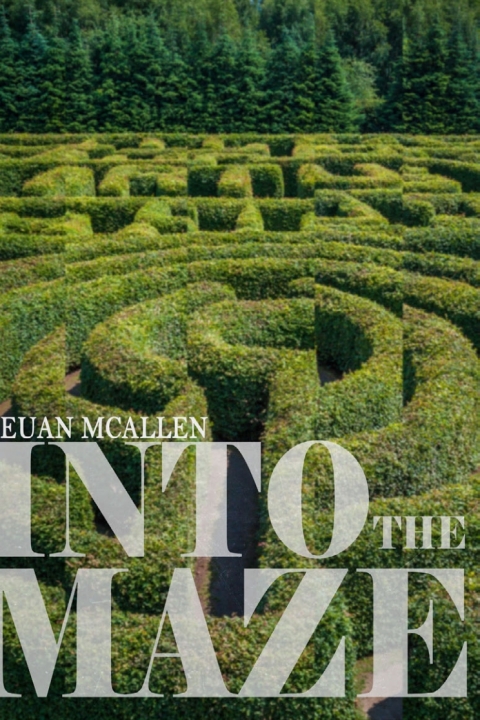 Cover image for book Into The Maze