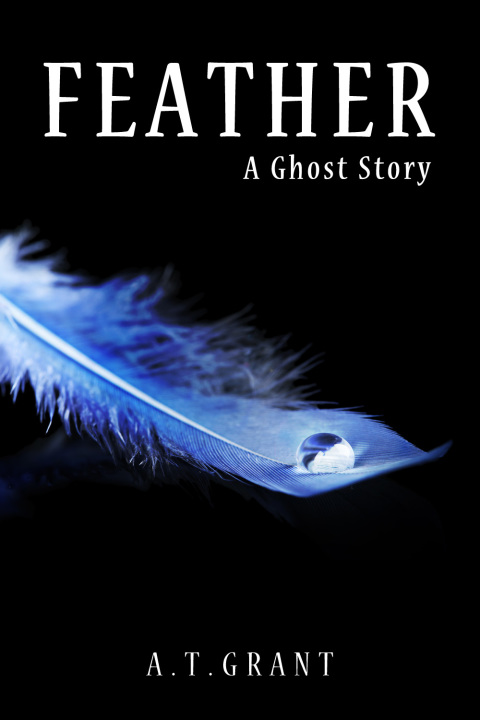 Cover image for book Feather