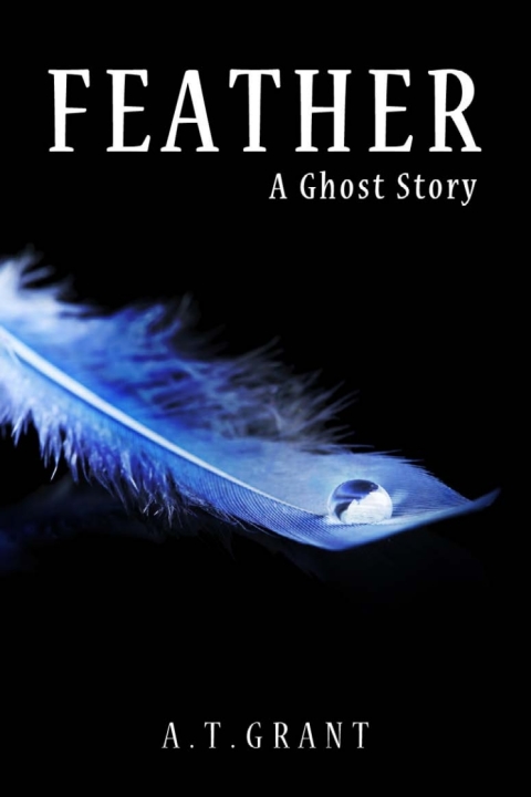 Cover image for book Feather