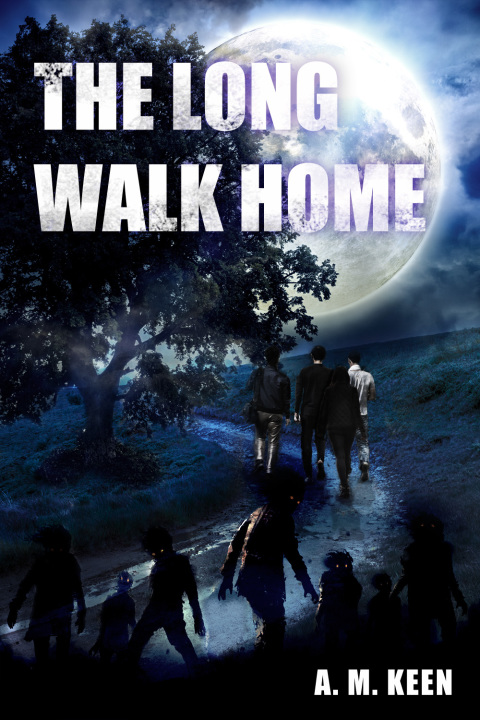Cover image for book The Long Walk Home