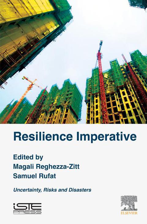 Cover image for book Resilience Imperative: Uncertainty, Risks and Disasters