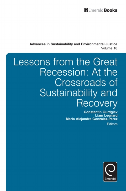 Cover image for book Lessons from the Great Recession