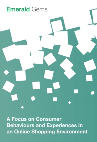 A Focus on Consumer Behaviours and Experiences in an Online Shopping Environment