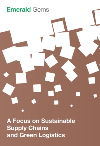 A Focus on Sustainable Supply Chains and Green Logistics