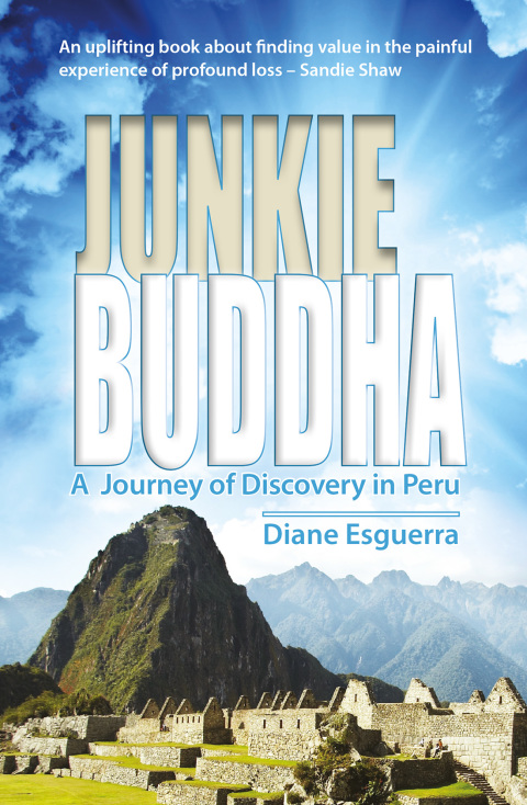 Cover image for book Junkie Buddha