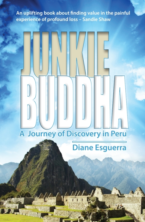 Cover image for book Junkie Buddha