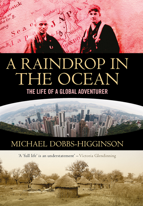 Cover image for book A Raindrop in the Ocean