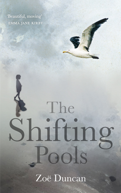 Cover image for book The Shifting Pools