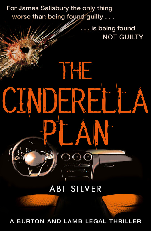 Cover image for book The Cinderella Plan