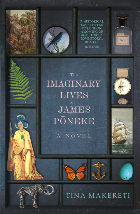 Cover image for book The Imaginary Lives of James Poneke