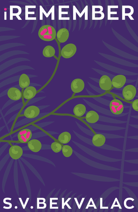 Cover image for book iRemember