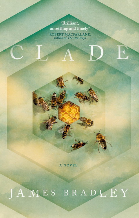 Cover image for book Clade