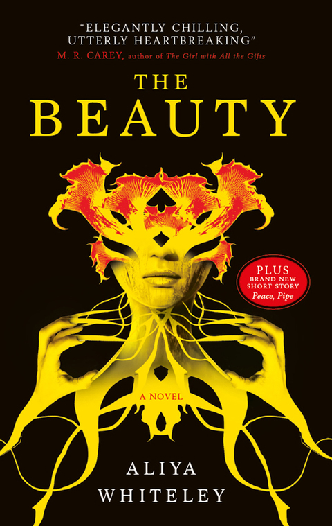 Cover image for book The Beauty