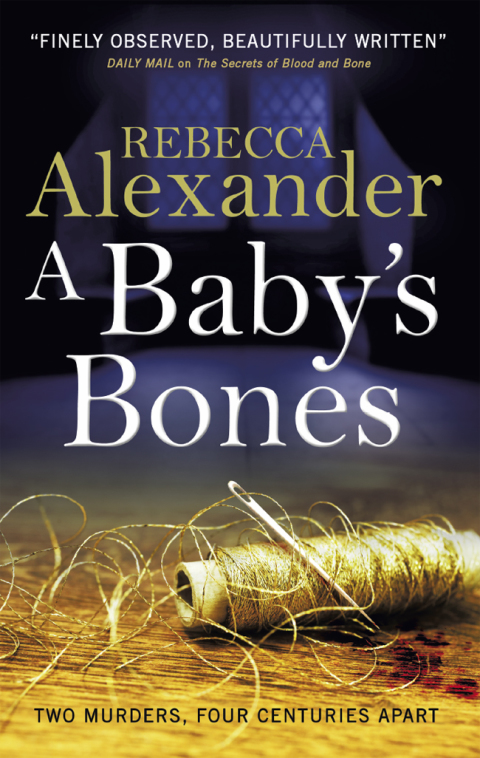Cover image for book A Baby's Bones