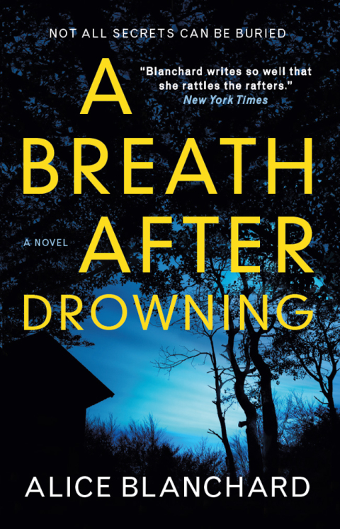 Cover image for book A Breath After Drowning