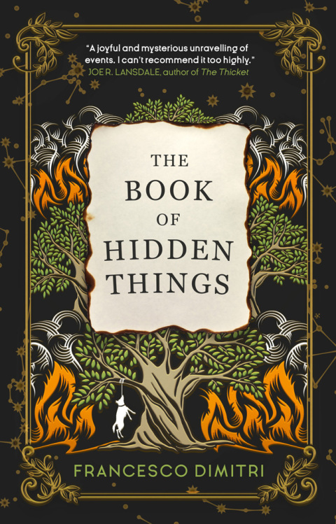Cover image for book The Book of Hidden Things