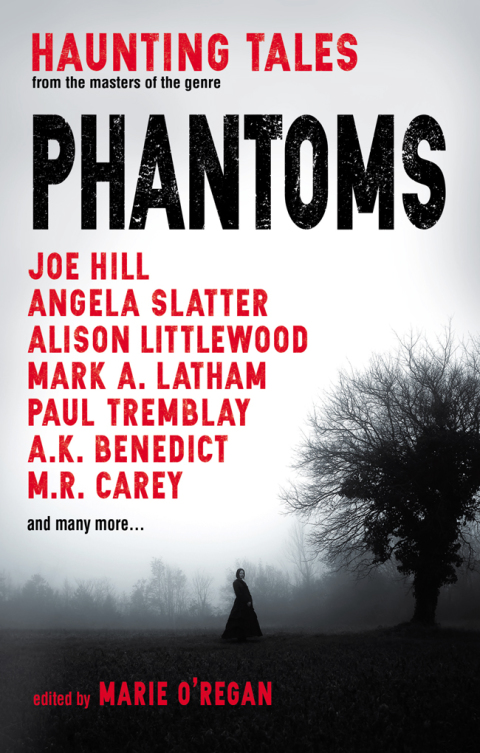 Cover image for book Phantoms: Haunting Tales from Masters of the Genre
