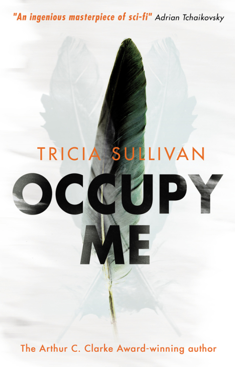 Cover image for book Occupy Me