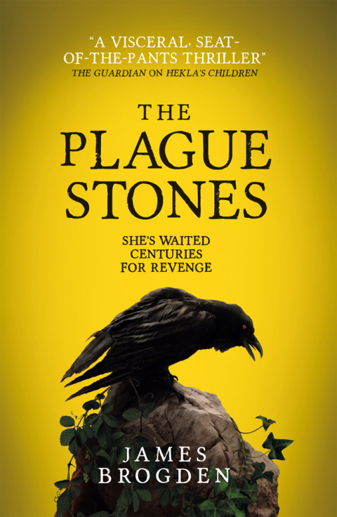Cover image for book The Plague Stones