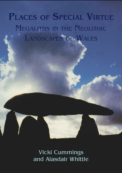 Cover image for book Places of Special Virtue