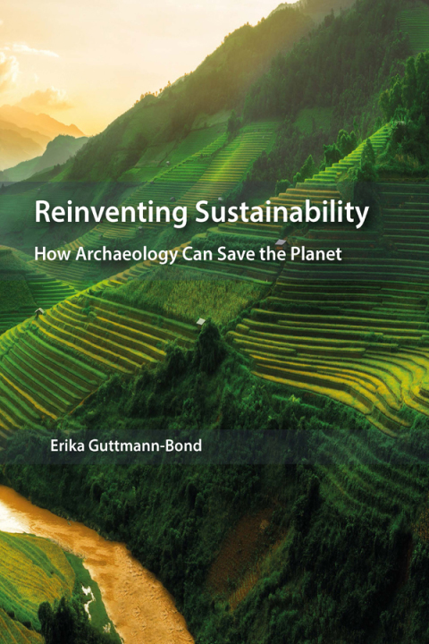 Cover image for book Reinventing Sustainability