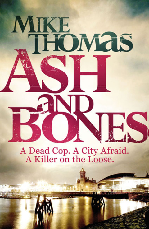 Cover image for book Ash and Bones