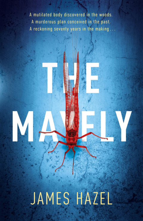 Cover image for book The Mayfly
