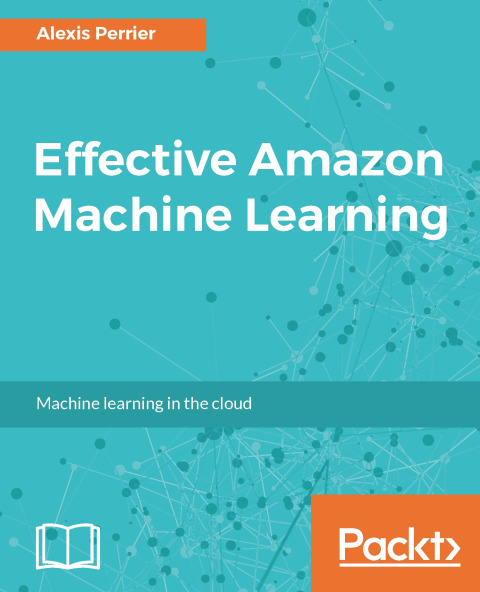 Cover image for book Effective Amazon Machine Learning