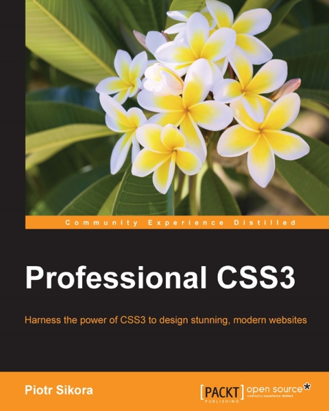 Cover image for book Professional CSS3