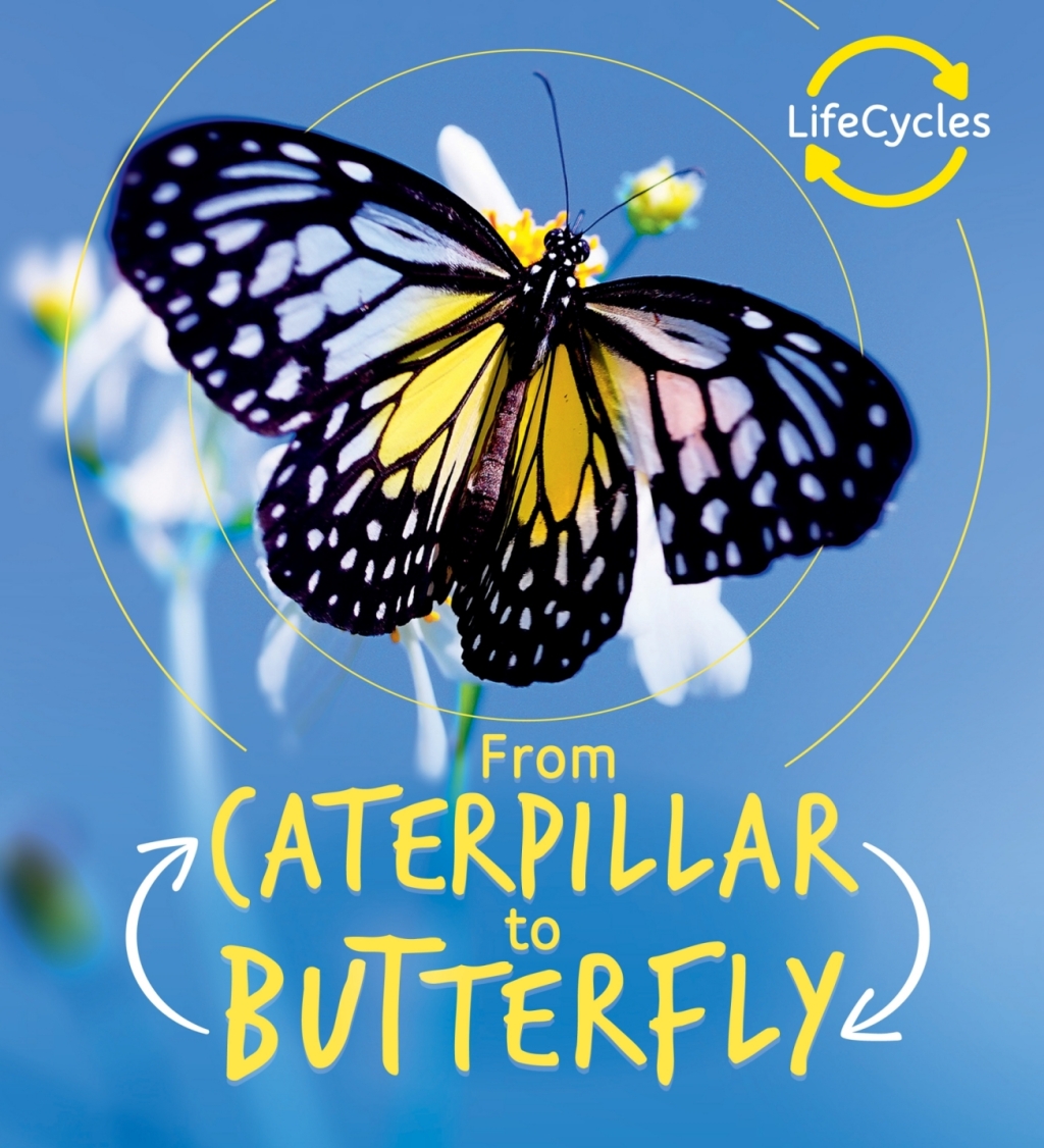 Lifecycles: Caterpillar to Butterfly (eBook)