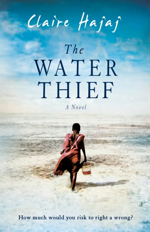 Cover image for book The Water Thief