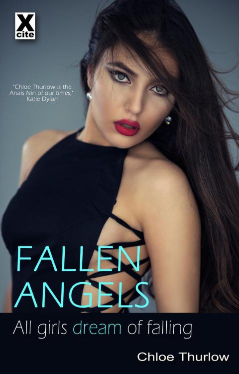 Cover image for book Fallen Angels and other stories