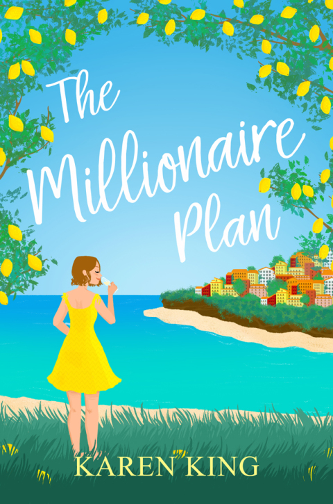 Cover image for book The Millionaire Plan