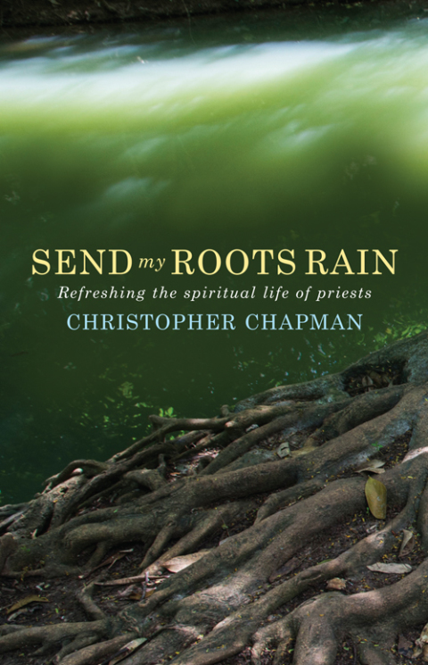 Cover image for book Send My Roots Rain