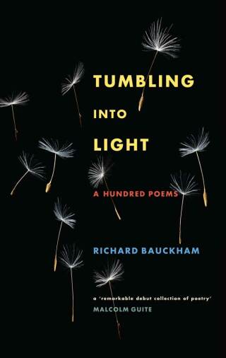 Tumbling Into Light