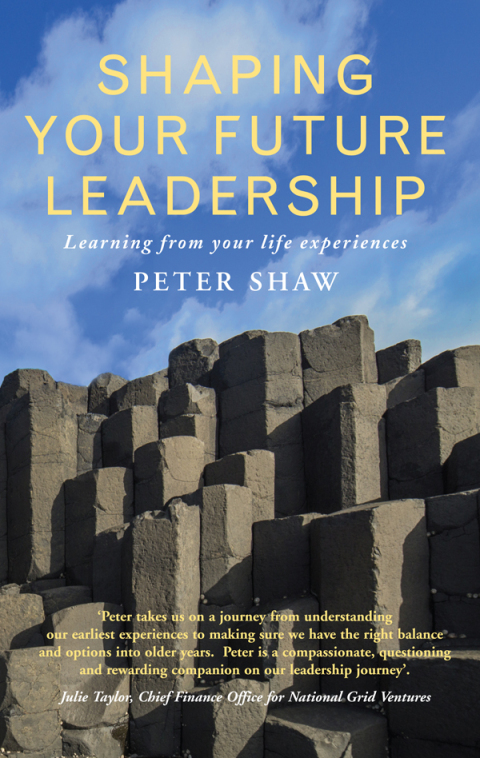 Shaping Your Future Leadership 