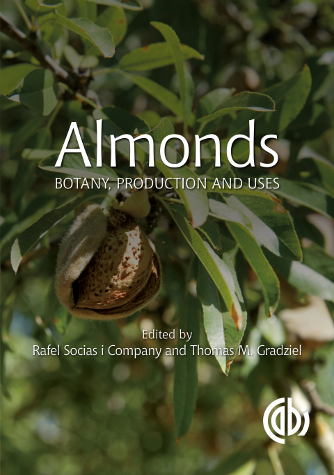 Cover image for book Almonds