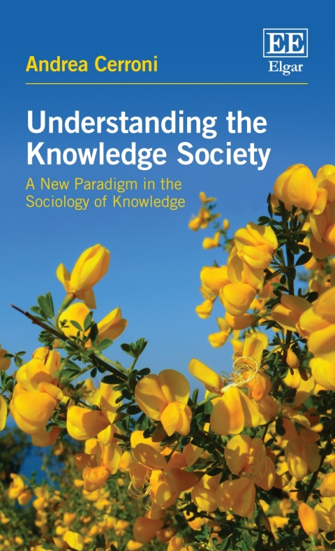 Cover image for book Understanding the Knowledge Society