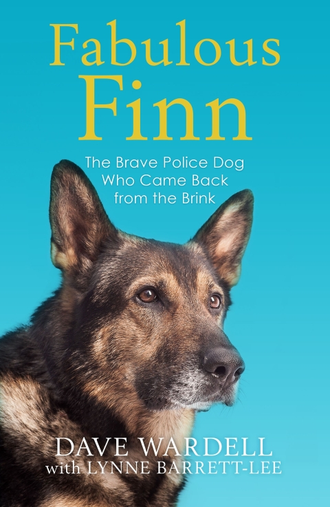 Cover image for book Fabulous Finn