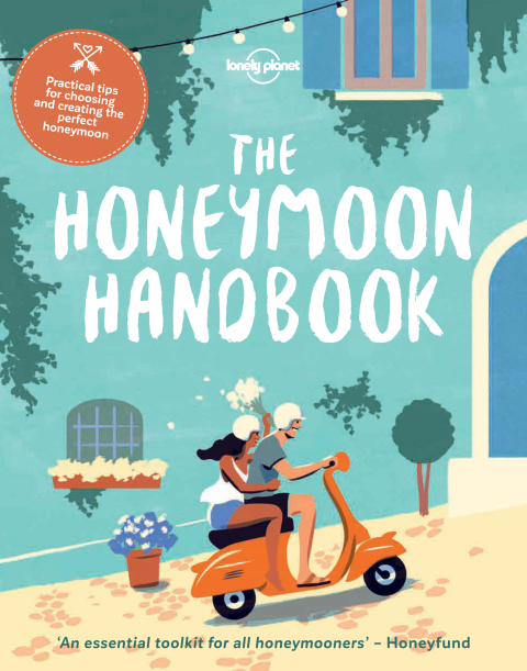 Cover image for book The Honeymoon Handbook