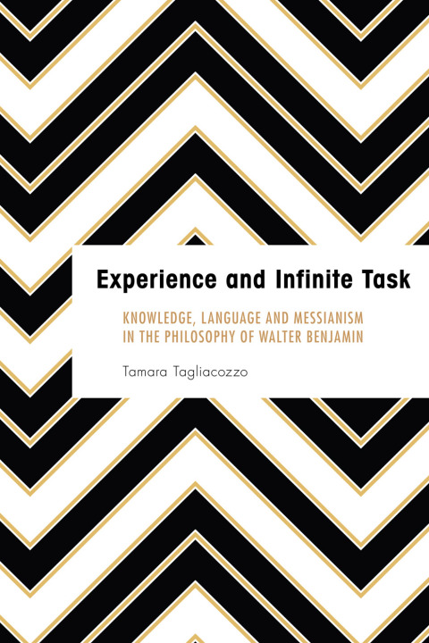 Cover image for book Experience and Infinite Task