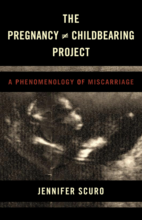 Cover image for book The Pregnancy [does-not-equal] Childbearing Project