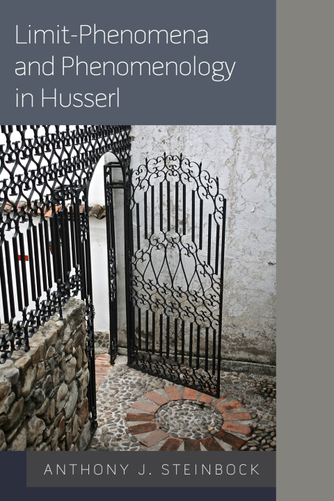 Cover image for book Limit-Phenomena and Phenomenology in Husserl