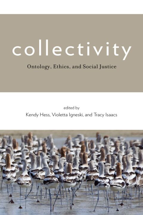 Cover image for book Collectivity