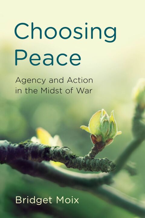Cover image for book Choosing Peace