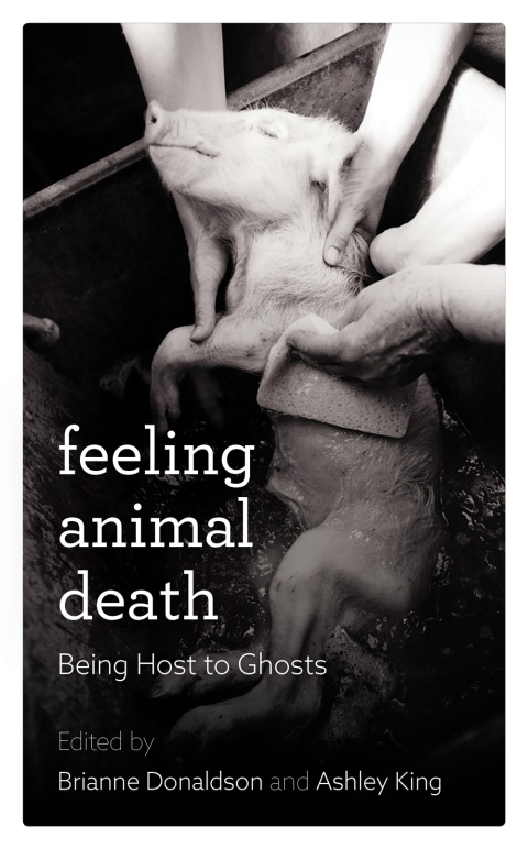 Cover image for book Feeling Animal Death